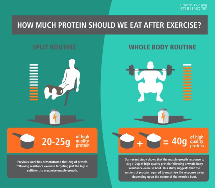how much protein should we eat after exercise